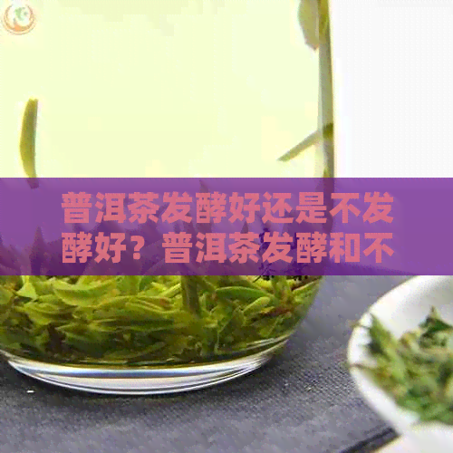 普洱茶发酵好还是不发酵好？普洱茶发酵和不发酵有什么区别？哪个更好喝？