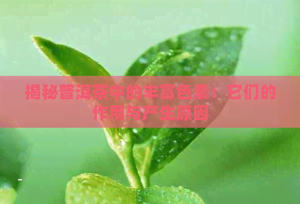 揭秘普洱茶中的丰富色素：它们的作用与产生原因