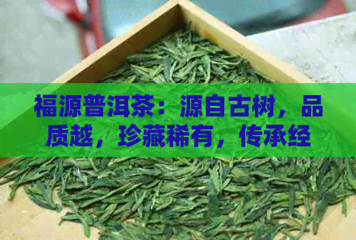 福源普洱茶：源自古树，品质越，珍藏稀有，传承经典