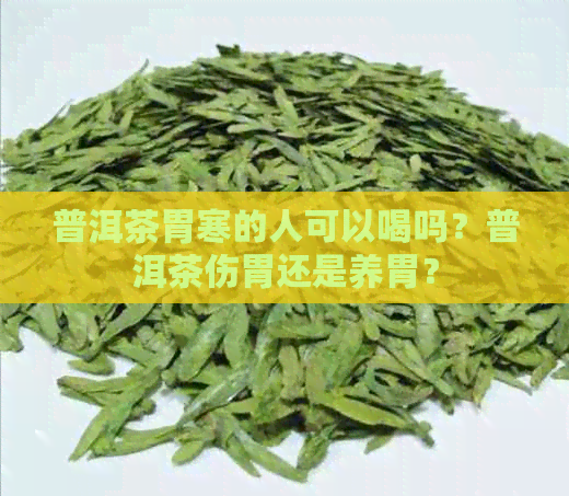 普洱茶胃寒的人可以喝吗？普洱茶伤胃还是养胃？