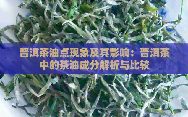 普洱茶油点现象及其影响：普洱茶中的茶油成分解析与比较