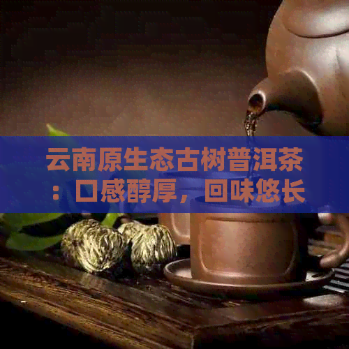 云南原生态古树普洱茶：口感醇厚，回味悠长的新选择