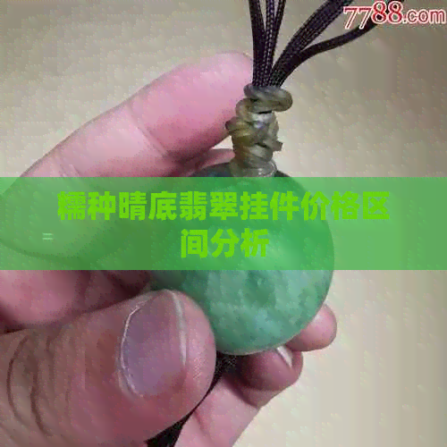 糯种晴底翡翠挂件价格区间分析