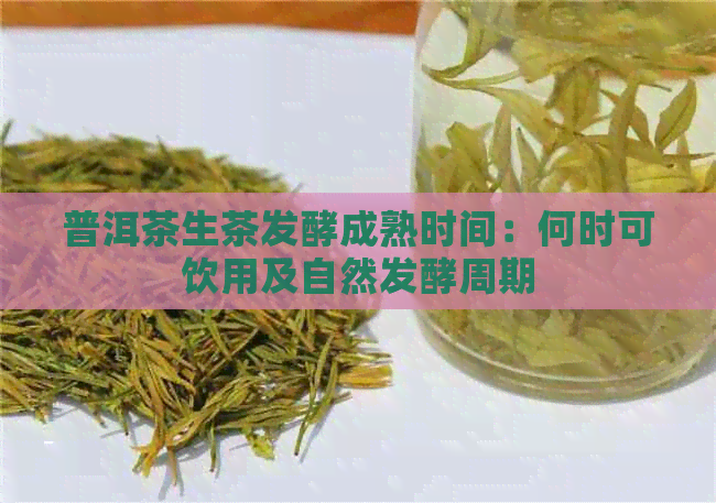 普洱茶生茶发酵成熟时间：何时可饮用及自然发酵周期