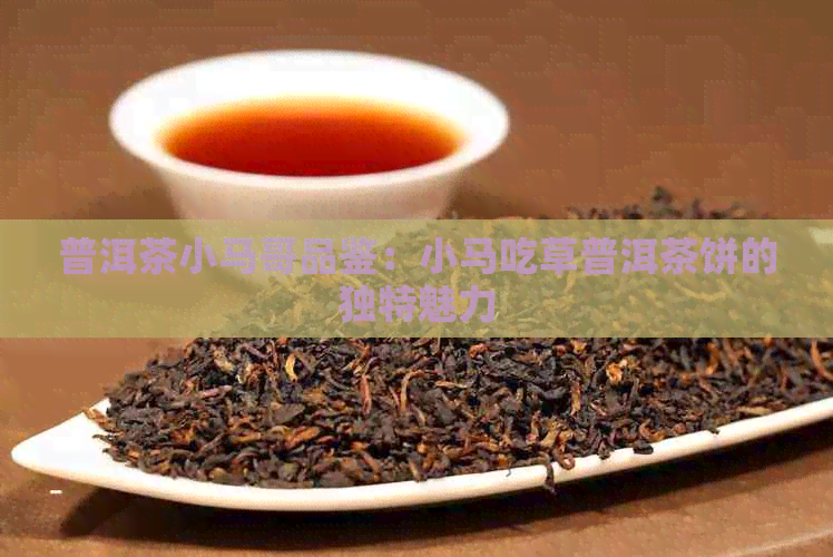 普洱茶小马哥品鉴：小马吃草普洱茶饼的独特魅力