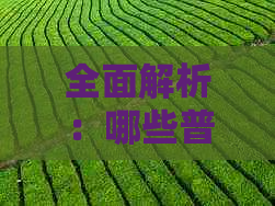 全面解析：哪些普洱茶具有浓的香气？收藏起来不容错过！