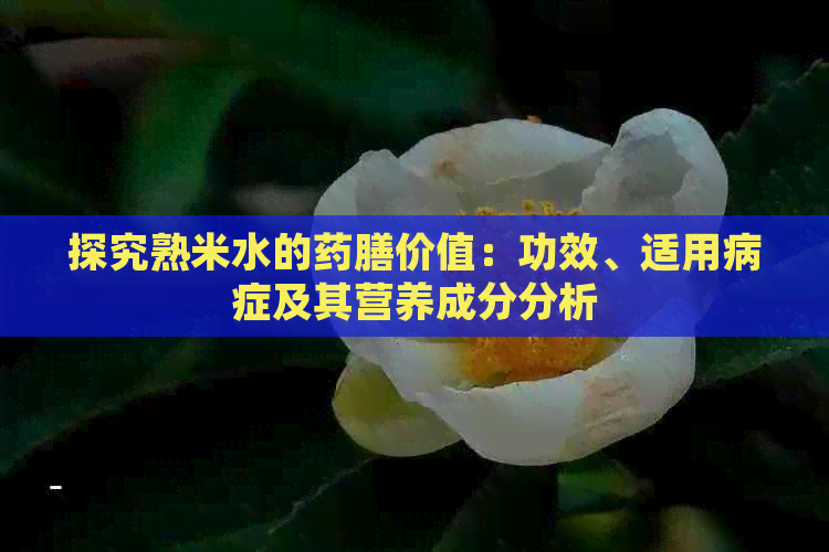 探究熟米水的药膳价值：功效、适用病症及其营养成分分析