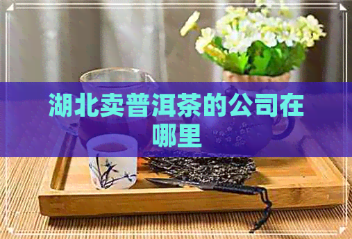 湖北卖普洱茶的公司在哪里