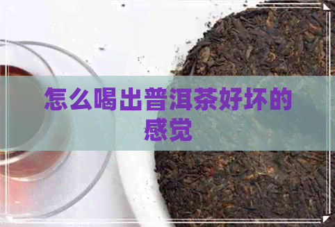 怎么喝出普洱茶好坏的感觉