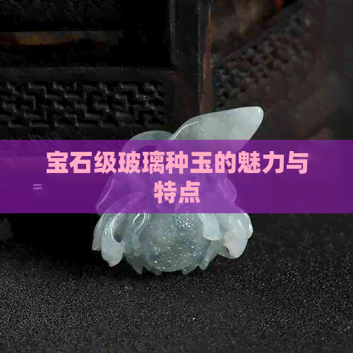 宝石级玻璃种玉的魅力与特点