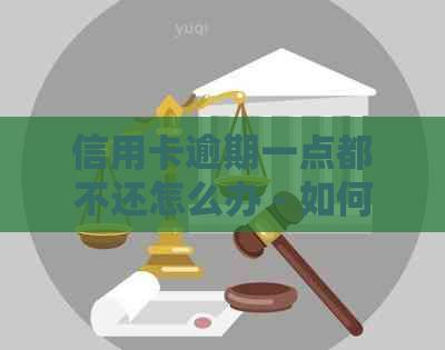 信用卡逾期一点都不还怎么办 - 如何处理无法偿还的信用卡欠款