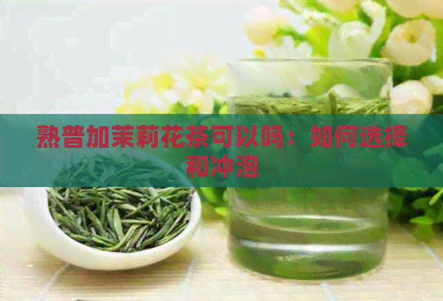 熟普加茉莉花茶可以吗：如何选择和冲泡