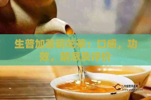 生普加茉莉花茶：口感，功效，禁忌及评价