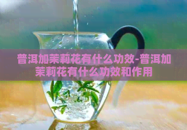 普洱加茉莉花有什么功效-普洱加茉莉花有什么功效和作用