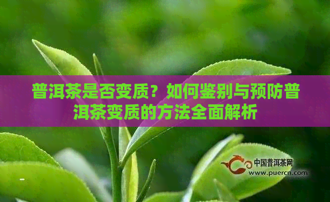 普洱茶是否变质？如何鉴别与预防普洱茶变质的方法全面解析