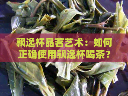 飘逸杯品茗艺术：如何正确使用飘逸杯喝茶？了解茶艺文化与泡茶技巧