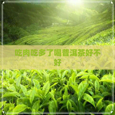 吃肉吃多了喝普洱茶好不好