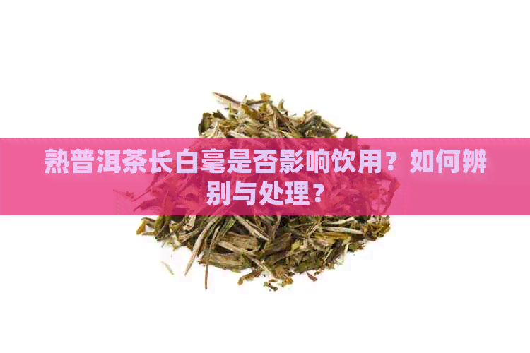 熟普洱茶长白毫是否影响饮用？如何辨别与处理？