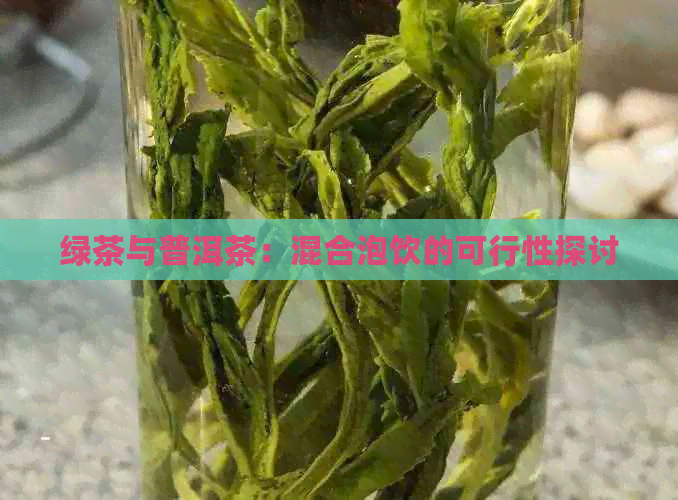 绿茶与普洱茶：混合泡饮的可行性探讨