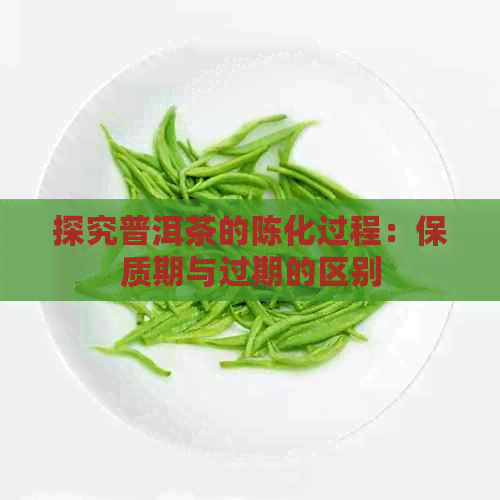 探究普洱茶的陈化过程：保质期与过期的区别