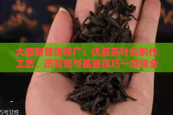 大渡岗普洱茶厂：优质茶叶的制作工艺、历背景与品鉴技巧一应俱全