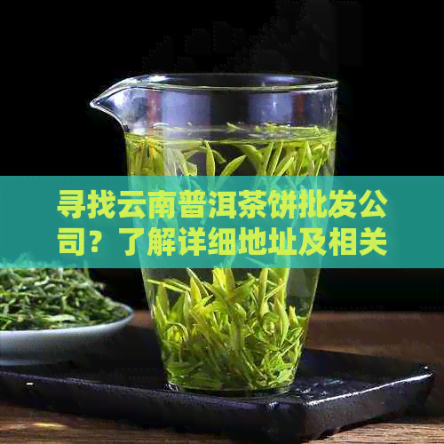 寻找云南普洱茶饼批发公司？了解详细地址及相关信息