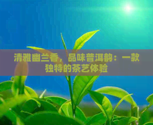 清雅幽兰香，品味普洱韵：一款独特的茶艺体验