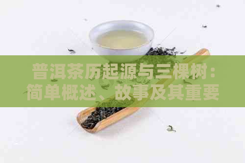 普洱茶历起源与三棵树：简单概述、故事及其重要性