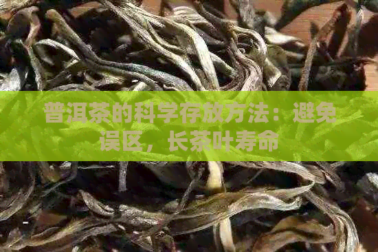 普洱茶的科学存放方法：避免误区，长茶叶寿命