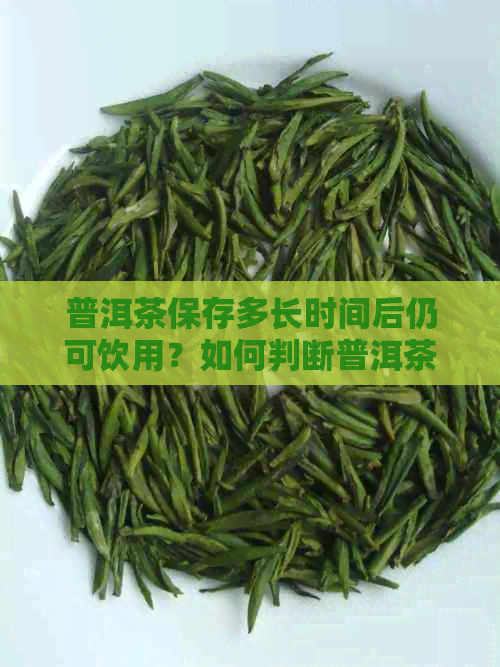 普洱茶保存多长时间后仍可饮用？如何判断普洱茶是否适合泡制？