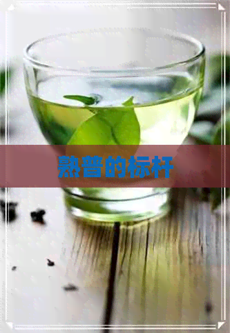 熟普的标杆