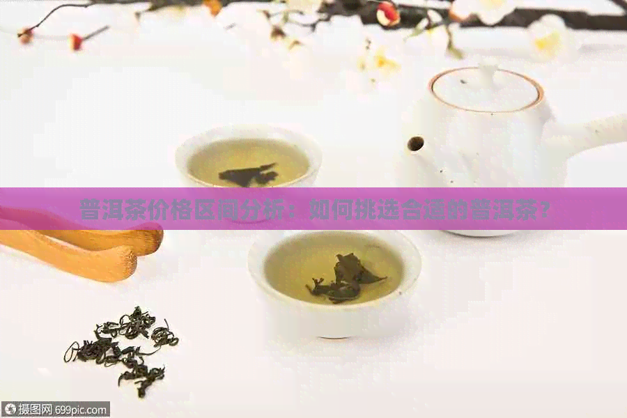 普洱茶价格区间分析：如何挑选合适的普洱茶？