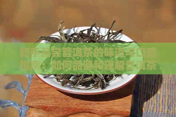 新手品尝普洱茶的味道与口感指南：如何品鉴和理解普洱茶的风味