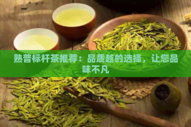 熟普标杆茶推荐：品质越的选择，让您品味不凡