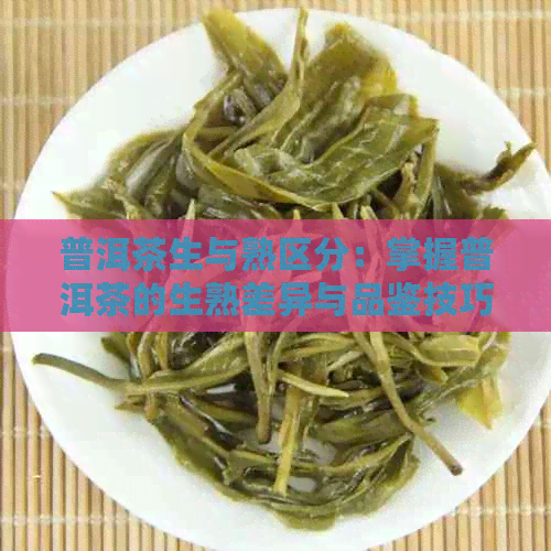 普洱茶生与熟区分：掌握普洱茶的生熟差异与品鉴技巧