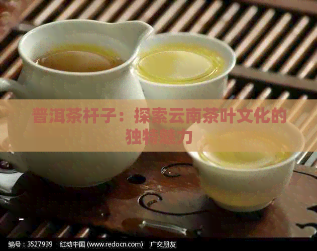 普洱茶杆子：探索云南茶叶文化的独特魅力