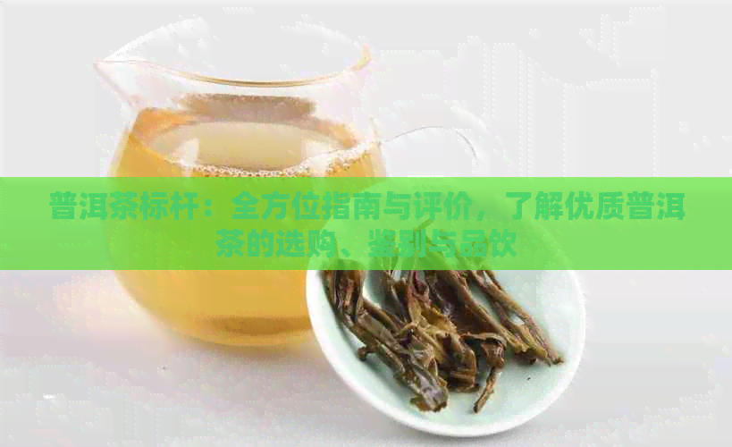 普洱茶标杆：全方位指南与评价，了解优质普洱茶的选购、鉴别与品饮