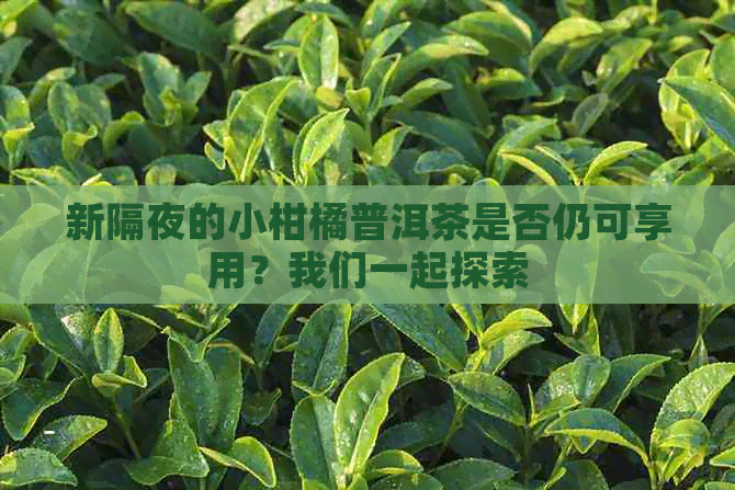 新隔夜的小柑橘普洱茶是否仍可享用？我们一起探索