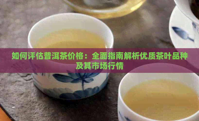 如何评估普洱茶价格：全面指南解析优质茶叶品种及其市场行情