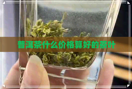 普洱茶什么价格算好的茶叶