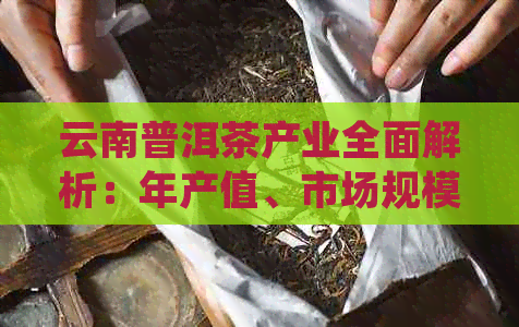 云南普洱茶产业全面解析：年产值、市场规模、生产特点与未来发展趋势