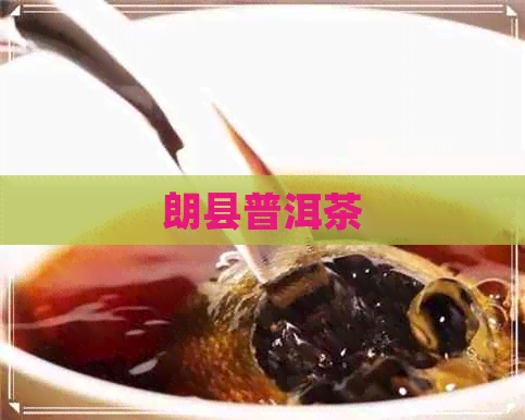 朗县普洱茶