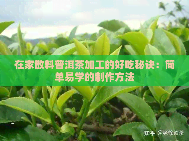 在家散料普洱茶加工的好吃秘诀：简单易学的制作方法