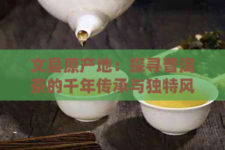 文县原产地：探寻普洱茶的千年传承与独特风味