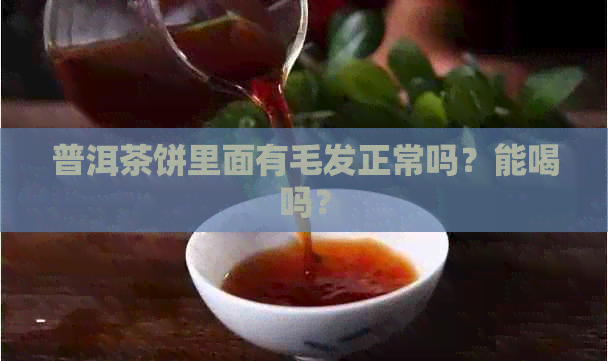 普洱茶饼里面有毛发正常吗？能喝吗？