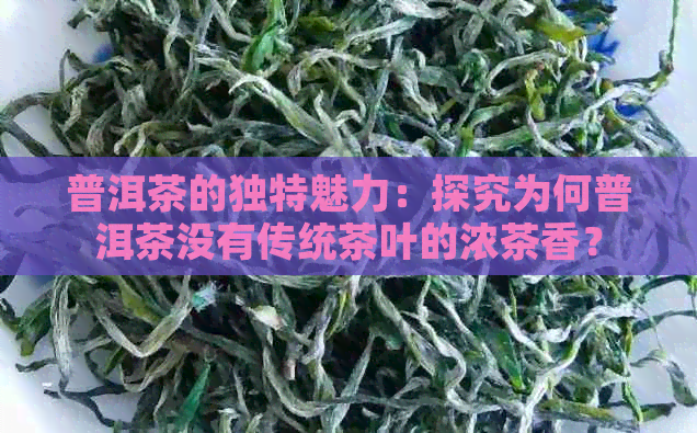 普洱茶的独特魅力：探究为何普洱茶没有传统茶叶的浓茶香？