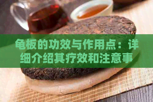 龟板的功效与作用点：详细介绍其疗效和注意事项