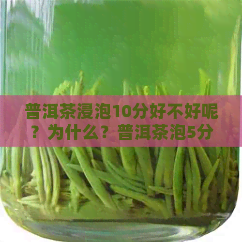 普洱茶浸泡10分好不好呢？为什么？普洱茶泡5分可以吗？