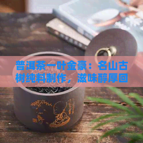 普洱茶一叶金豪：名山古树纯料制作，滋味醇厚回，品鉴享受人生