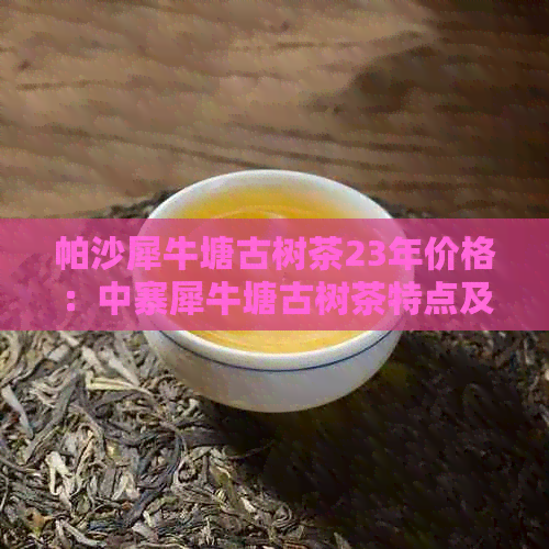 帕沙犀牛塘古树茶23年价格：中寨犀牛塘古树茶特点及价格简介